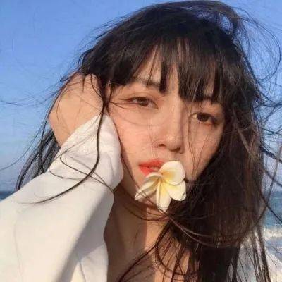 武炼巅峰满v版下载