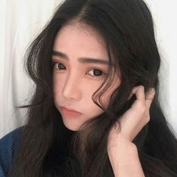 拆家我最牛游戏下载