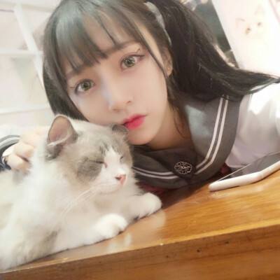 疯狂三国志破解版下载
